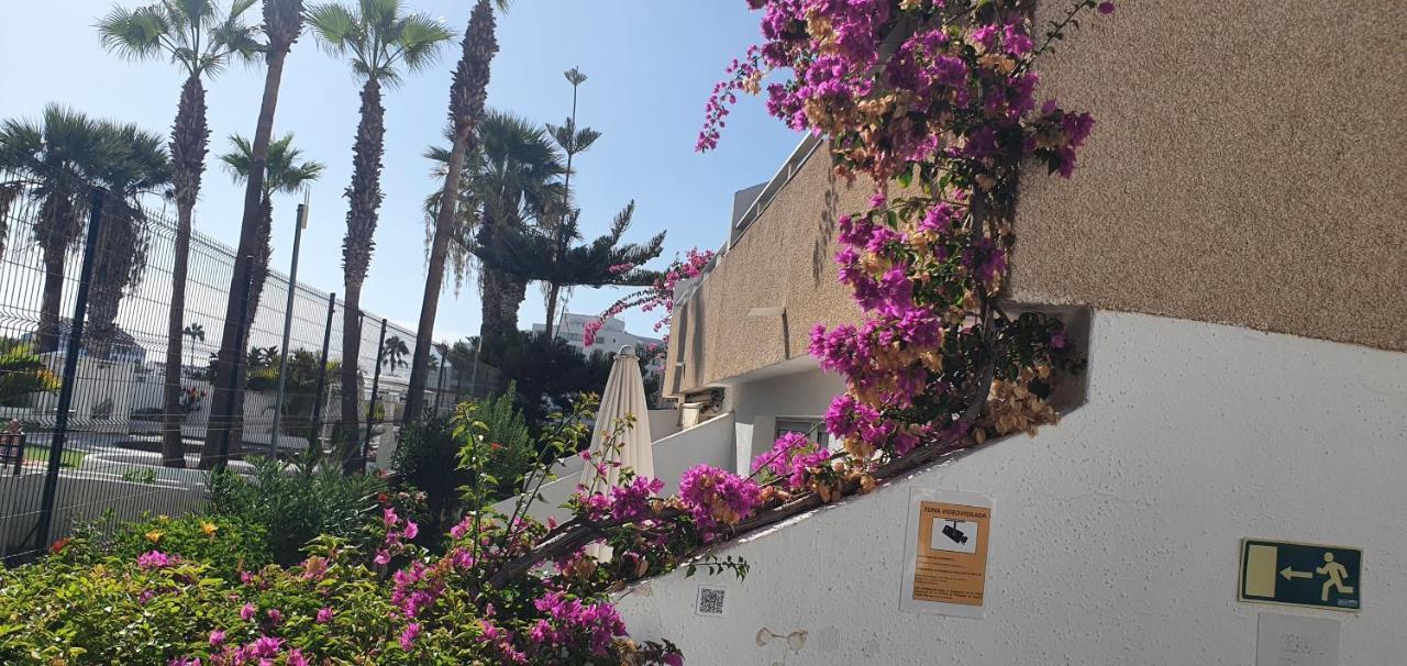 Adults Only Sunny Quiet Apartment In Center Of Las Americas أرونا المظهر الخارجي الصورة