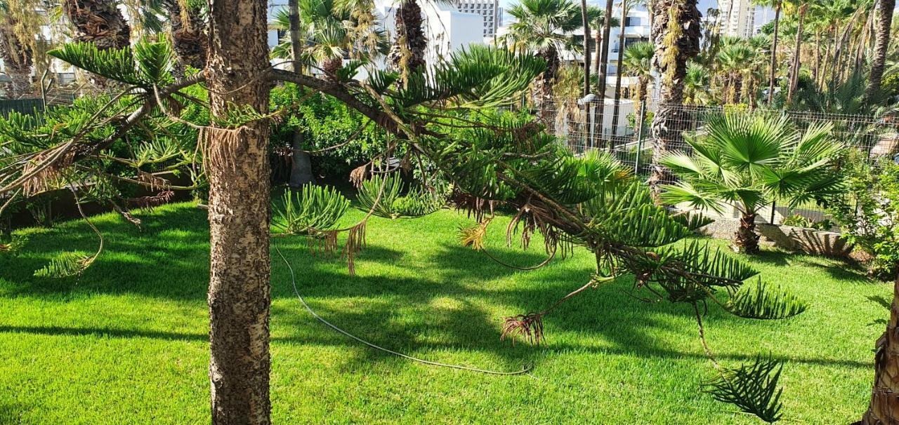 Adults Only Sunny Quiet Apartment In Center Of Las Americas أرونا المظهر الخارجي الصورة