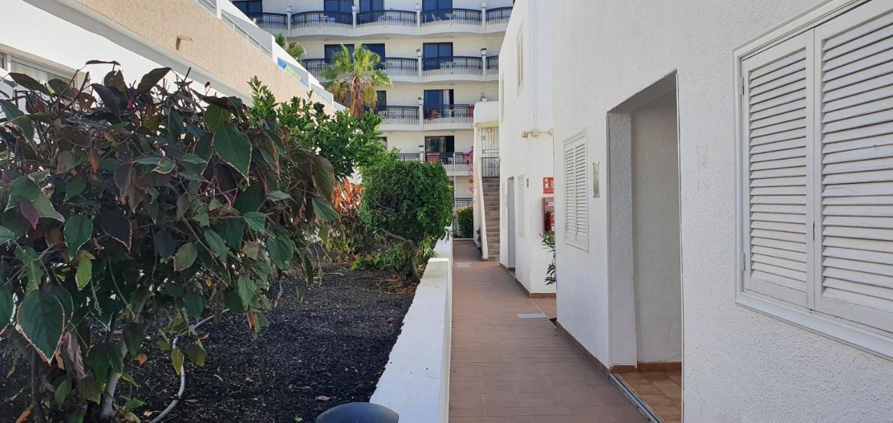 Adults Only Sunny Quiet Apartment In Center Of Las Americas أرونا المظهر الخارجي الصورة